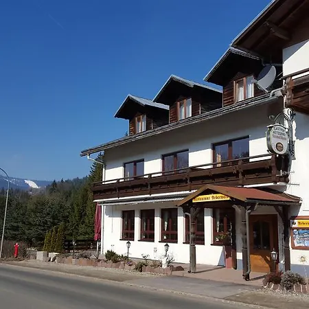 Hotel Lesni Dum / Neuwaldhaus Bayerisch Eisenstein
